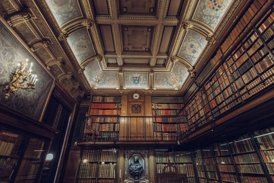 Free scholarship test every Sunday
